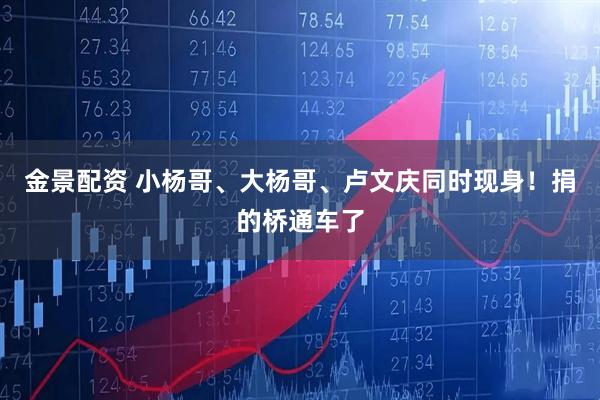 金景配资 小杨哥、大杨哥、卢文庆同时现身！捐的桥通车了