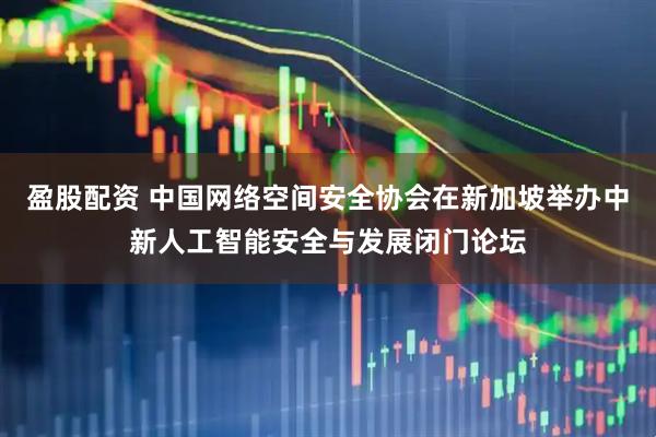 盈股配资 中国网络空间安全协会在新加坡举办中新人工智能安全与发展闭门论坛