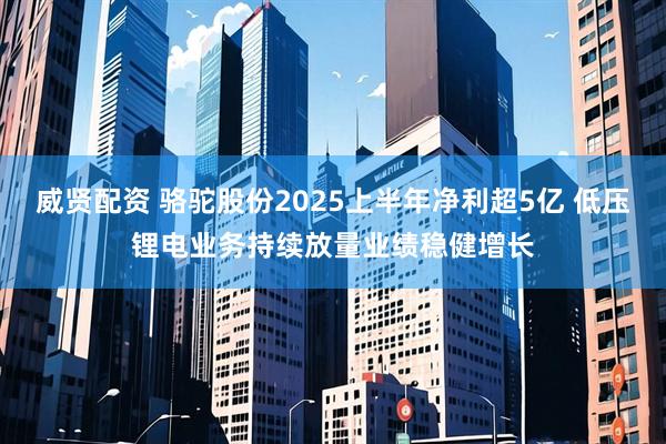 威贤配资 骆驼股份2025上半年净利超5亿 低压锂电业务持续放量业绩稳健增长