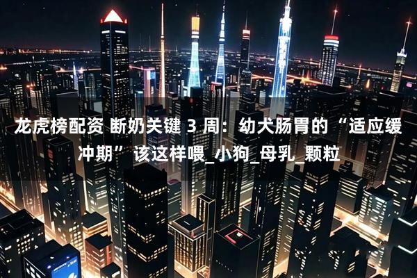 龙虎榜配资 断奶关键 3 周：幼犬肠胃的 “适应缓冲期” 该这样喂_小狗_母乳_颗粒